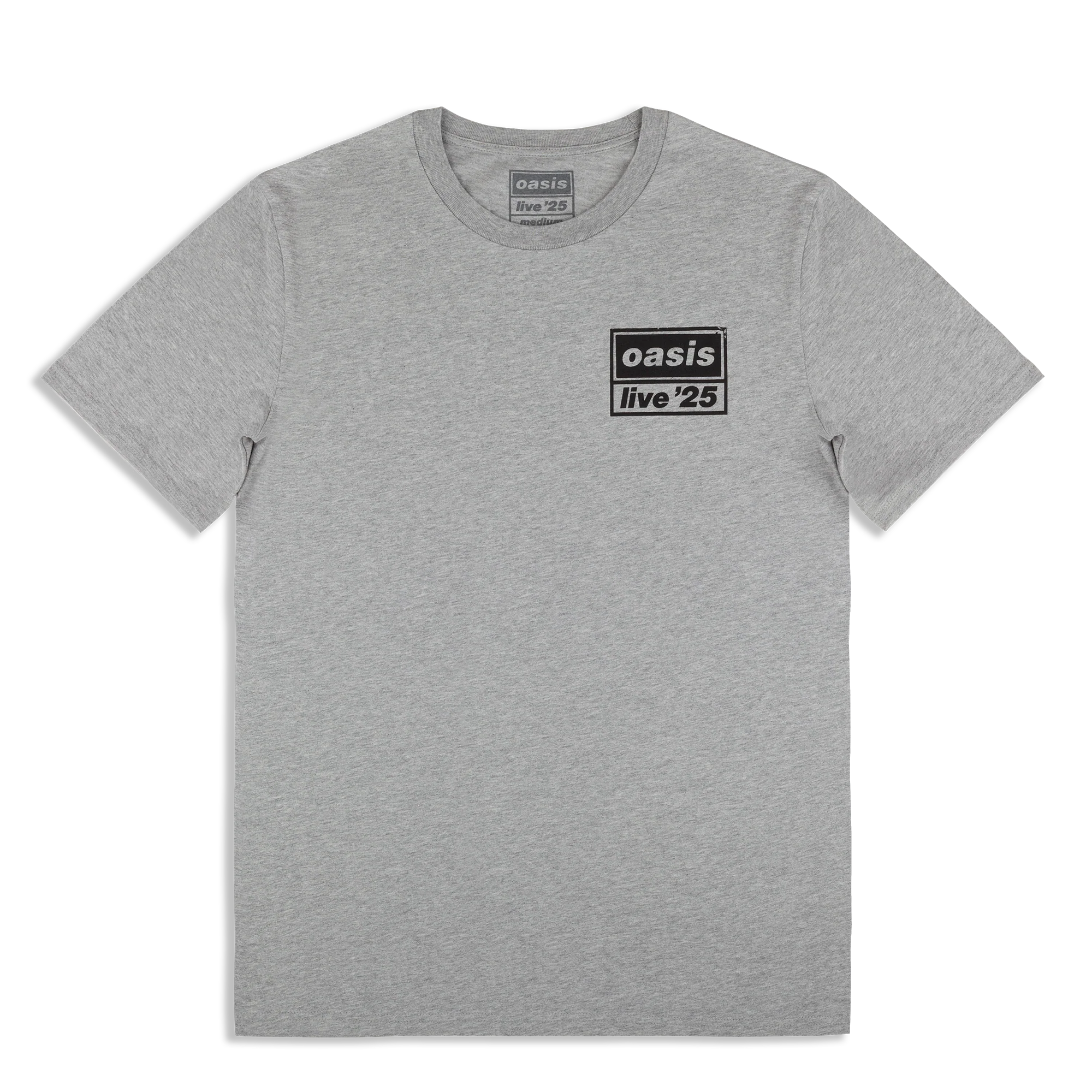 Live '25 Distressed Tour Logo T-Shirt Grey